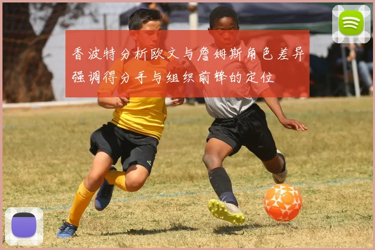 香波特分析欧文与詹姆斯角色差异强调得分手与组织前锋的定位