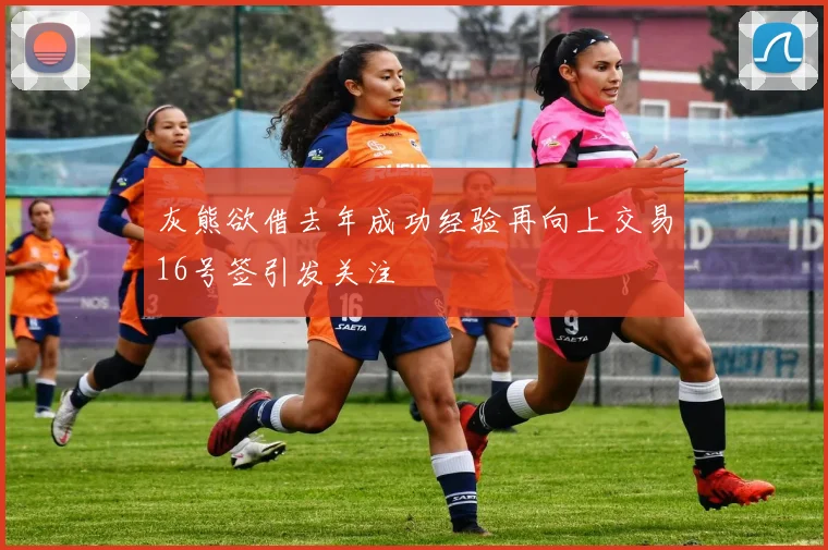 灰熊欲借去年成功经验再向上交易16号签引发关注